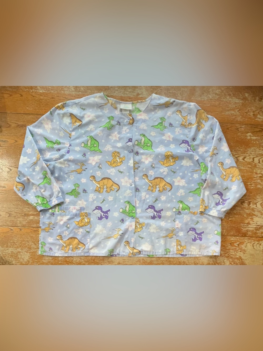 Vintage Y2K Crest “The Land Before Time" snap-front, long sleeve scrub jacket.